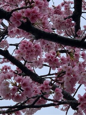 Meet your Posher, Gloria